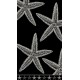 Dimcol Unisex Πετσέτα Θαλάσσης Βαμβακερή Βελουτέ Υφή Διπλής Όψεως Μαύρο Χρώμα Με Σχέδιο Αστερίες 